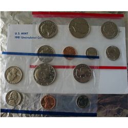 1981 Mint Set, 13 Coin Set In Original Envelope