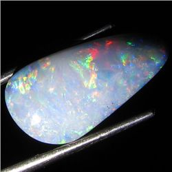 6.45ct Australian Black Opal Doublet Full Fire (GEM-36160)