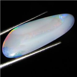 6.75ct Australian Black Opal Doublet Full Fire (GEM-36408)