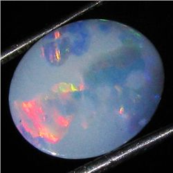 3.51ct Australian Black Opal Doublet Full Fire (GEM-36078)