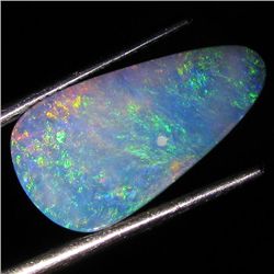 3.9ct Australian Black Opal Doublet Full Fire (GEM-36460)