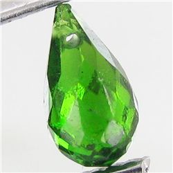 0.5ct Chrome Diopside Briolette (GMR-1111B)