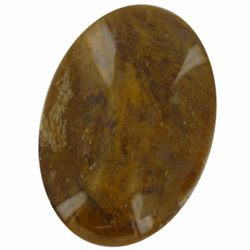 77.27ct Picture Jasper Cabochon (GEM-20758)