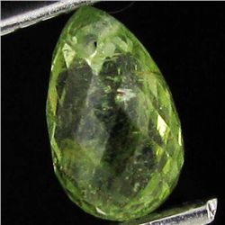 1.22ct Green Tourmaline Briolette (GEM-40629)