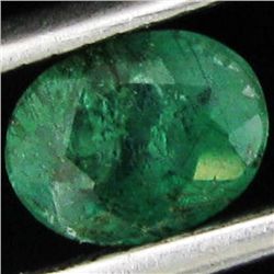 0.5ct Intense Green Zambian Emerald Oval (GEM-21431A)