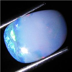 3.34ct Australian Black Opal Doublet Full Fire (GEM-36049)