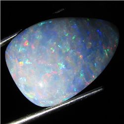 18.4ct Australian Black Opal Doublet Full Fire (GEM-36470)