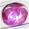 Image 1 : 4.6ct Red Star Ruby Cabochon (GEM-4144)