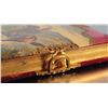 Image 14 : 2 Cowboy Celluloid Cover Photo Albums