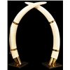 Image 1 : Pair of Elephant Tusks Jonas Brothers Ivory Mount