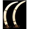 Image 2 : Pair of Elephant Tusks Jonas Brothers Ivory Mount