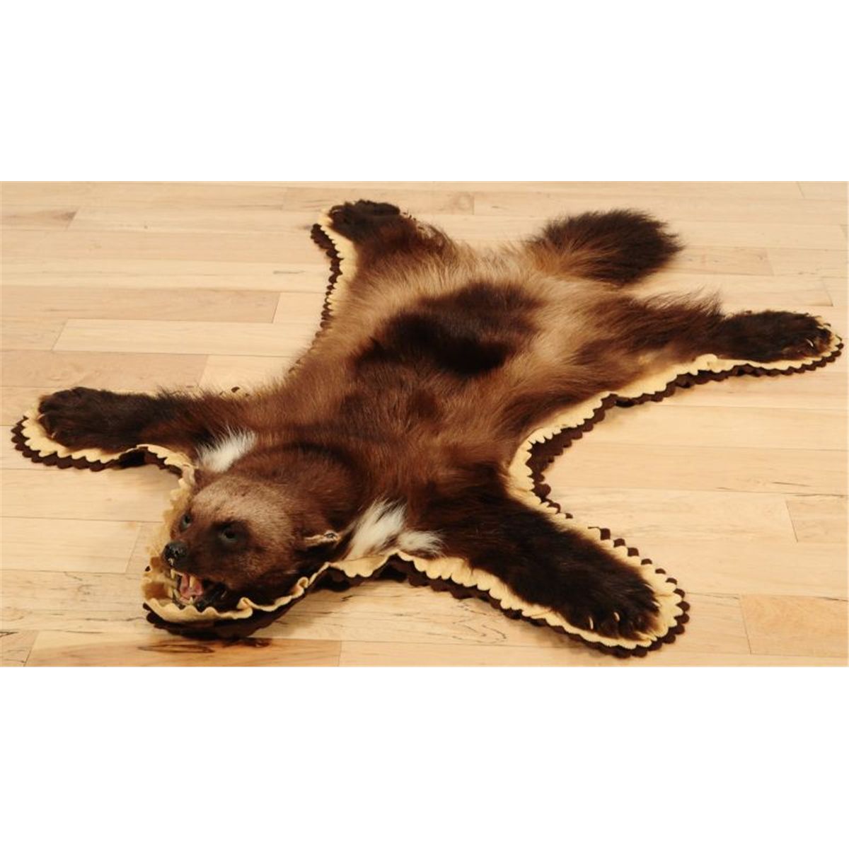 Jonas Brothers Wolverine Rug
