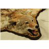 Image 2 : Coyote Rug