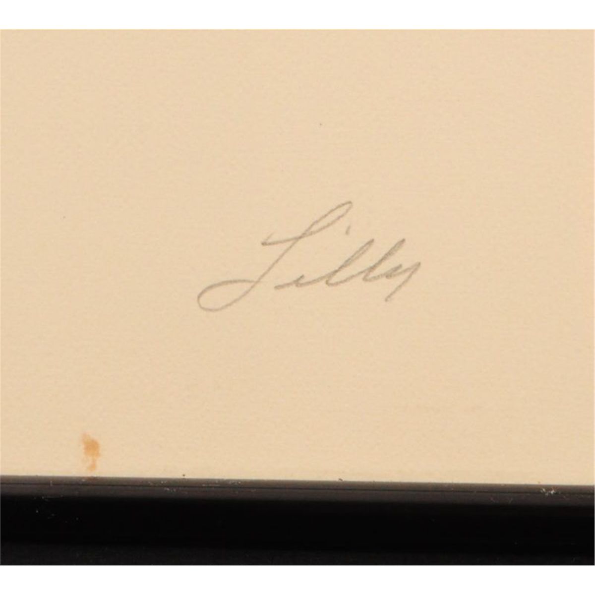 1978 mardi gras poster