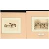 Image 2 : 6 Martin Stainforth Race Horse Prints