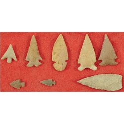 Collection of 8 Small  Arrowheads