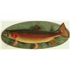 Image 4 : 4 Fish Mounts Trout & Grayling