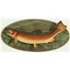 Image 5 : 4 Fish Mounts Trout & Grayling