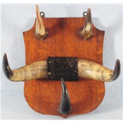 Old Horn Hat Rack