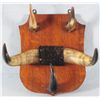 Image 1 : Old Horn Hat Rack