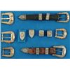 Image 1 : Collection of Ranger Buckle Sets Silver & Gold