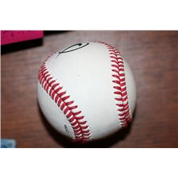 Nike Academy Baseball