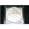 Image 1 : 2007 Silver Eagle