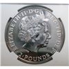 Image 3 : 2011 Great Britain Britannia   NGC69