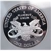 Image 3 : 2001P  Capitol $  PCGS price guide = $750