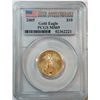 Image 1 : 2005 20th anniv $10  Gold Eagle  1/4 oz.