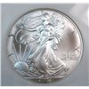 Image 2 : 2002 silver Eagle FIRST STRIKES