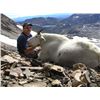 Image 1 : TROPHY MOUNTAIN GOAT HUNT ~ COLLINGWOOD BROTHERS GUIDES & OUTFITTERS