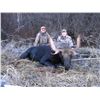 Image 1 : LATE SEASON BULL MOOSE HUNT ~ DOUBLE EAGLE GUIDES & OUTFITTERS