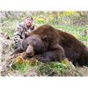 Image 2 : SPRING BLACK BEAR ~ HIGH CALIBER ADVENTURES LTD.