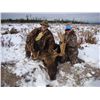 Image 2 : CANADIAN MOOSE HUNT ~ SONNY’S GUIDING SERVICE