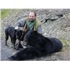 Image 1 : SPRING MOUNTAIN BLACK BEAR HUNT ~ KISPIOX VALLEY OUTFITTERS