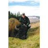 Image 6 : PLAINS BISON HUNT ~ SIKANNI RIVER OUTFITTERS