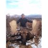 Image 7 : TROPHY NORTHERN BC MOOSE HUNT ~ NORTHWEST BIG GAME OUTFITTERS LTD