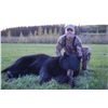 Image 1 : SPRING BLACK BEAR HUNT FOR ADULT & JR HUNTER ~ BACKCOUNTRY GUIDE OUTFITTERS