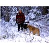 Image 2 : WINTER LYNX HUNT OPATCHO LAKE GUIDE OUTFITTERS