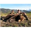 Image 3 : GRIZZLY HUNT~ MILLIGAN OUTFITTERS