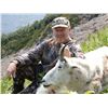 Image 2 : BACKPACK MOUNTAIN GOAT HUNT ~ CLAW MOUNTAIN OUTFITTERS