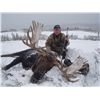 Image 2 : TROPHY MOOSE HUNT ~ LIARD RIVER ADVENTURES