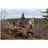 Image 5 : TROPHY MOOSE HUNT ~ LIARD RIVER ADVENTURES