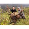 Image 1 : EARLY SEASON ELK HUNT ~ STONE MOUNTAIN SAFARIS