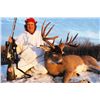 Image 1 : WHITETAIL DEER HUNT IN NORTHERN SASKATCHEWAN