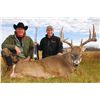 Image 3 : WHITETAIL DEER HUNT IN NORTHERN SASKATCHEWAN