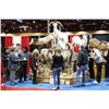 Image 1 : SINGLE REGISTRATION PACKAGE FOR 2012 SHEEP SHOW