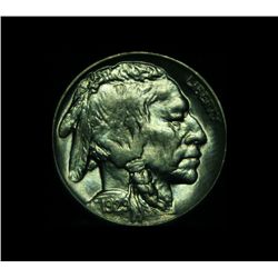1929-p Buffalo Nickel 5c Grades Gem+ Uncirculated ms66