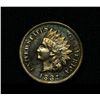 Image 1 : 1887 Proof Indian Cent 1c Gem Uncirculated PR65RD Red